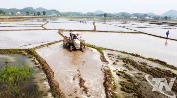 خطة استراتيجية وخطوات استباقية لدعم محصول الربيع في منطقة آن خان